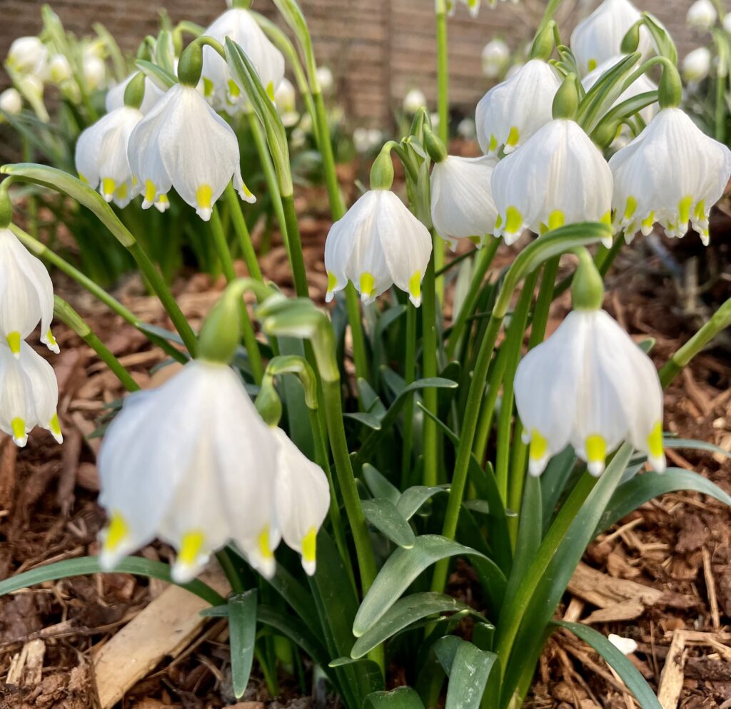 Frühling!