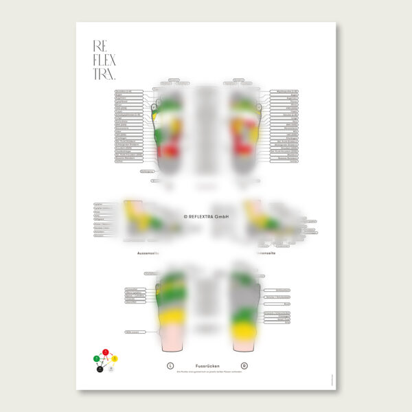 Hilfsplakat 2 zur Fuss-Reflexologie