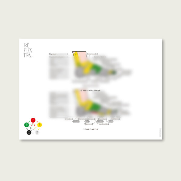 Hilfskarten 3 + 4 + 5 zur Fuss-Reflexologie