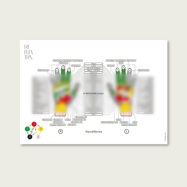 Hilfskarten 3 + 4 + 5 zur Fuss-Reflexologie